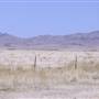 Ranch Road 505
