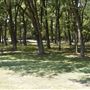 Bear Creek Nature Park