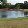 Community Park
