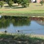 Community Park