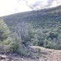 Hess Property