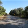 Jones Road