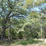 Blue Hole Regional Park