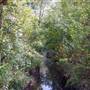 Onion Creek at CR 236