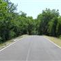 Gloria Road