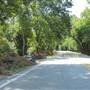 Tripp Road