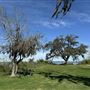 Baytown Nature Center