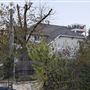 Assaf House
