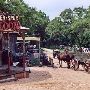 Enchanted Springs Ranch