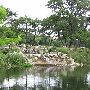 Enchanted Springs Ranch