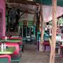 Polvo's