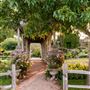 Antique Rose Emporium
