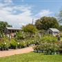 Antique Rose Emporium