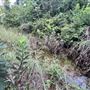 Lost Creek at Wimberley