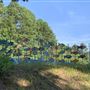 Bringle Lake Park