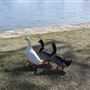 Spring Lake Park