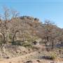Enchanted Rock State Natural Area