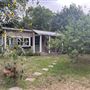 Maple St. House