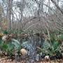 Palmetto State Park