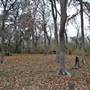 Palmetto State Park
