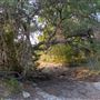 Chick Ranch