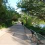 Hike & Bike Trail at Lady Bird Lake