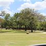 Shannon Park