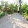 Hike & Bike Trail at Lady Bird Lake