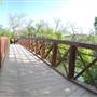 Hike & Bike Trail at Lady Bird Lake