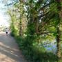 Hike & Bike Trail at Lady Bird Lake