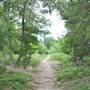Phil Hardberger Park