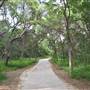 Phil Hardberger Park