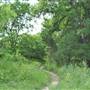 Phil Hardberger Park