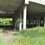 Phil Hardberger Park