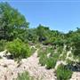 McKinney Falls State Park