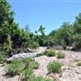 McKinney Falls State Park