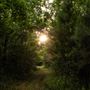 The Oaks of Anahuac