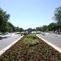 Texas Tech University