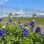 Denton Enterprise Airport