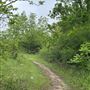 Clear Creek Natural Heritage Center