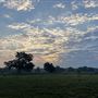 Evans Ranch
