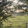 Evans Ranch