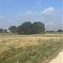 Evans Ranch