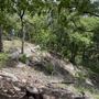 Riva Ridge