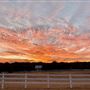 Sky Creek Farm
