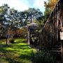 Texas Hill Country Orchard