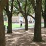 Gerald Hines Waterwall Park