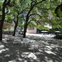 Julia Ideson Building - Houston Public Library