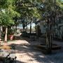 La Colombe d'Or Hotel