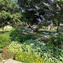 Cross Timbers Park